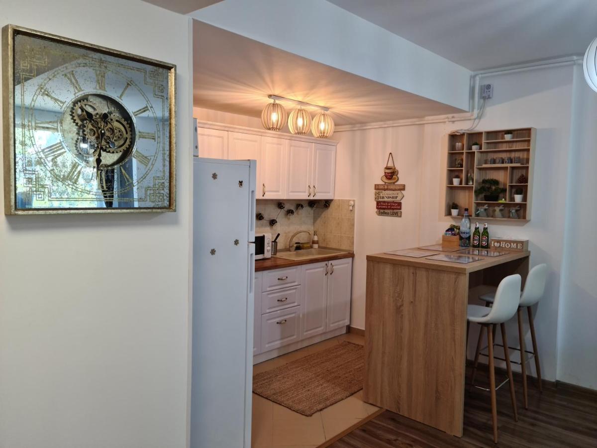 Vintage Home Сіная Екстер'єр фото